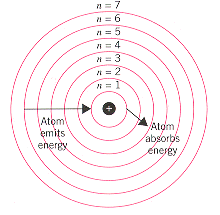 Describe Rutherford Model Of The Atom And Compare It With The Model Proposed By His Student Bohr