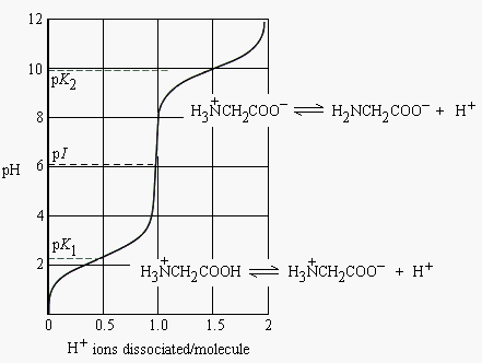 histidine titration curve