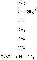 lysine r group