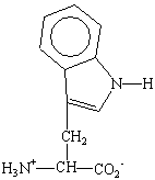 tryptophan structure at ph 7